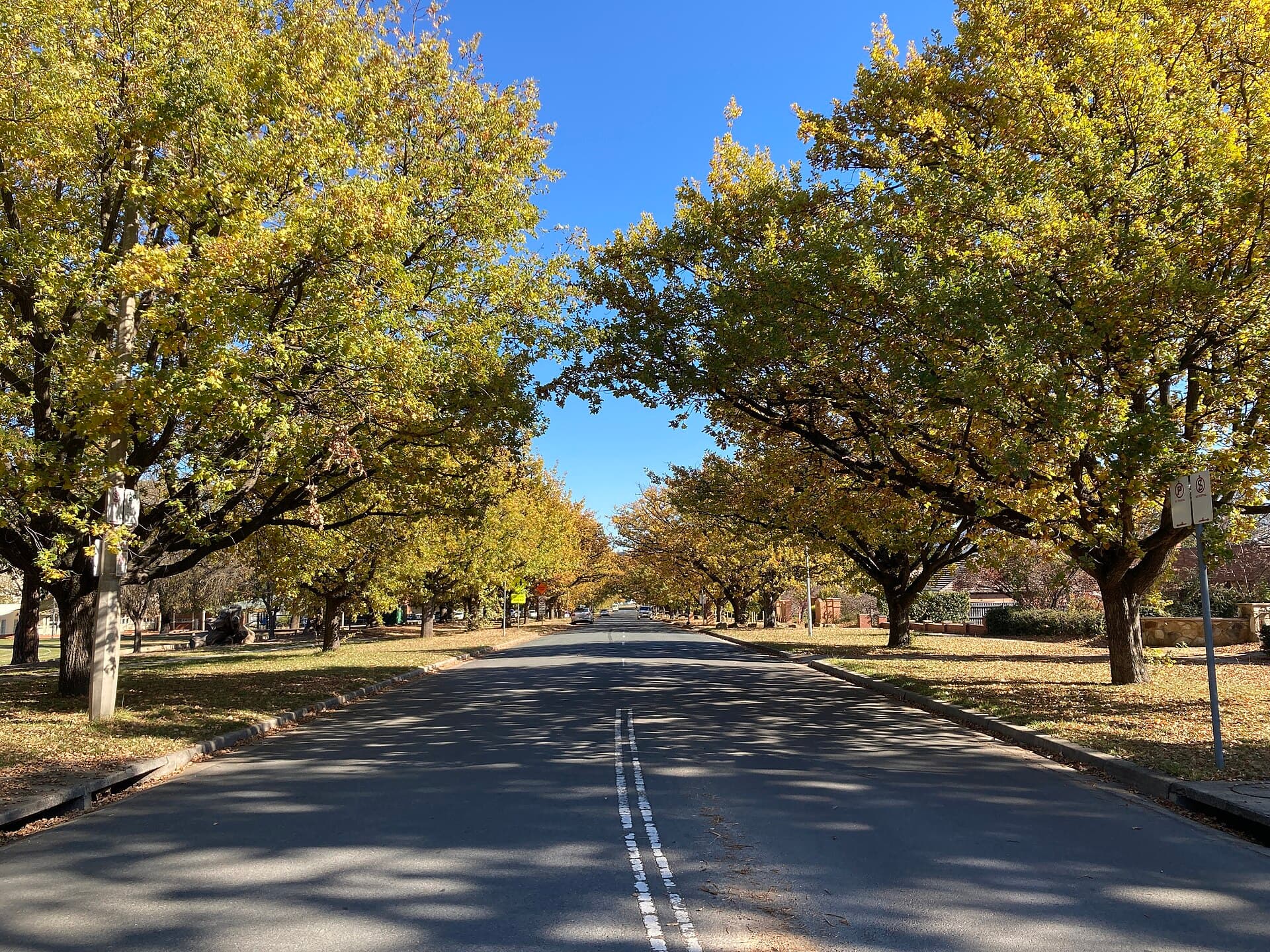 Things to Do in Braddon, Canberra: The Local Guide