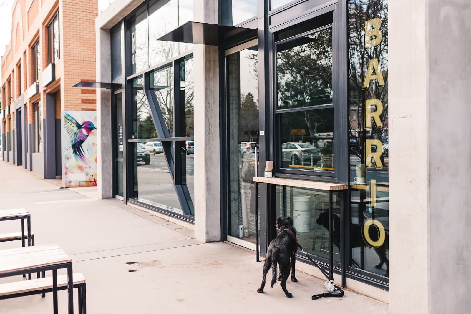 Barrio Collective Coffee — Braddon, Canberra