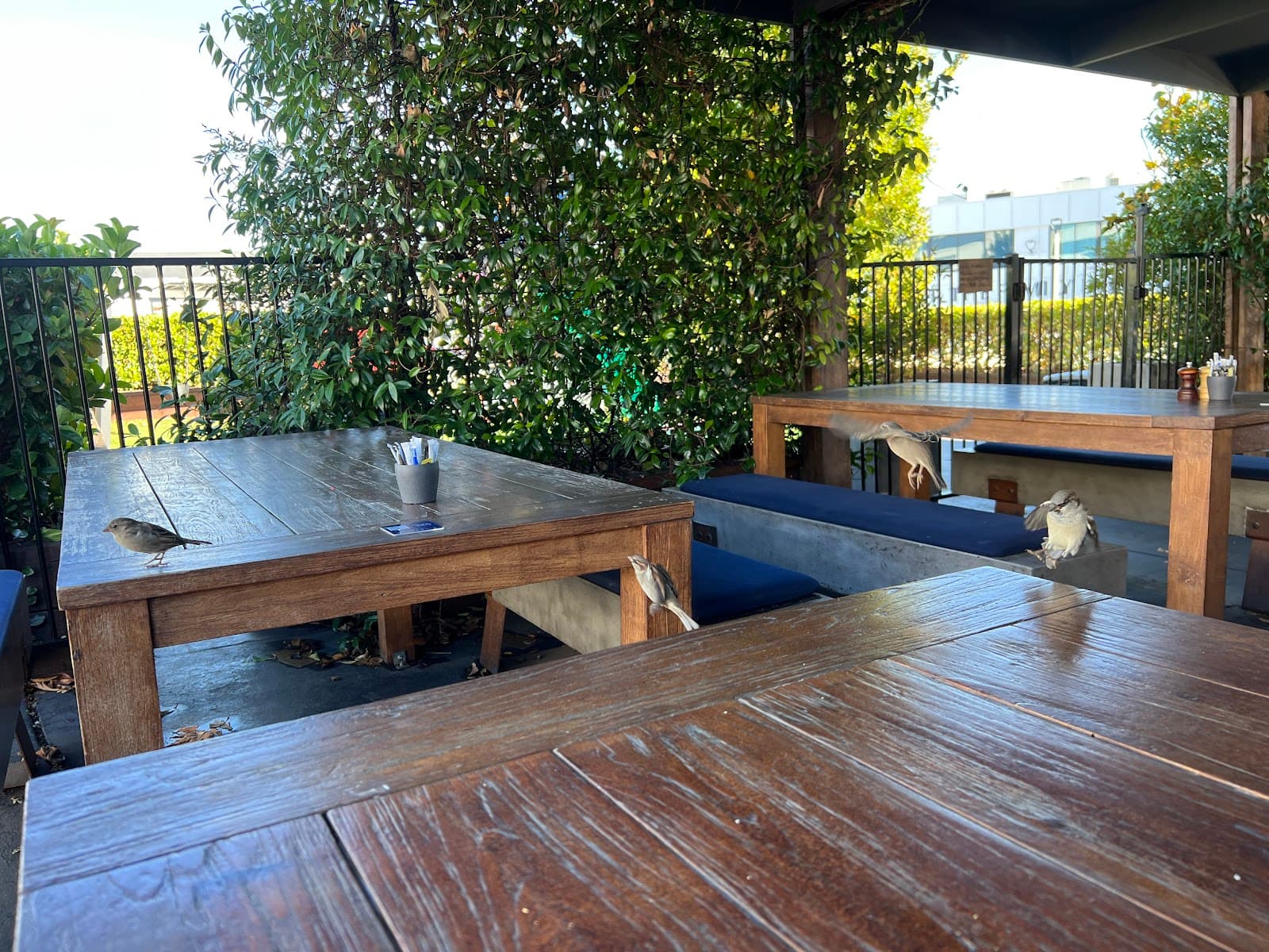 Wildflour Artisan Bakery & Cafe — Fyshwick, Canberra