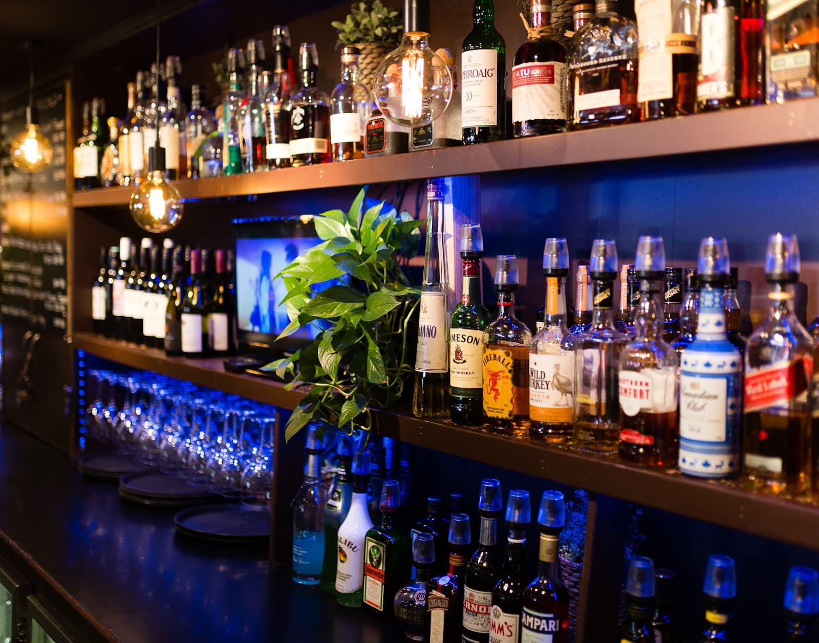 The Civic Pub — Civic, Canberra