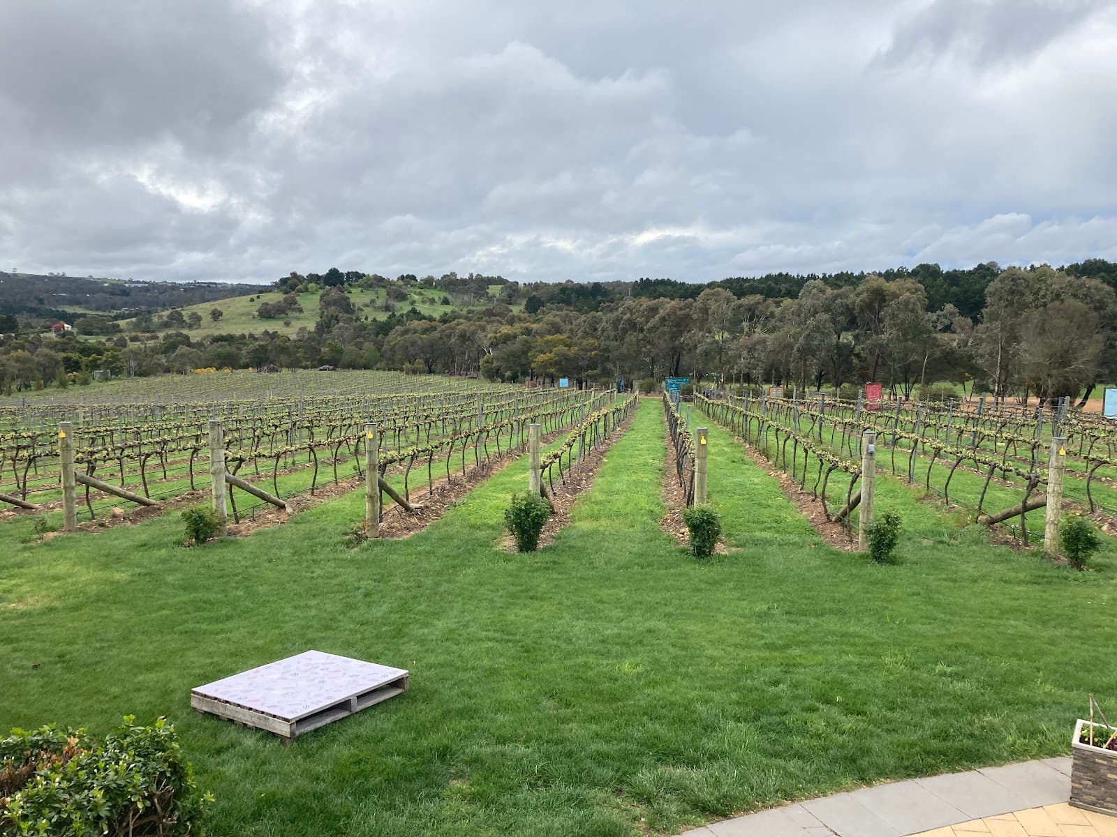 Contentious Character — Kingston, Canberra