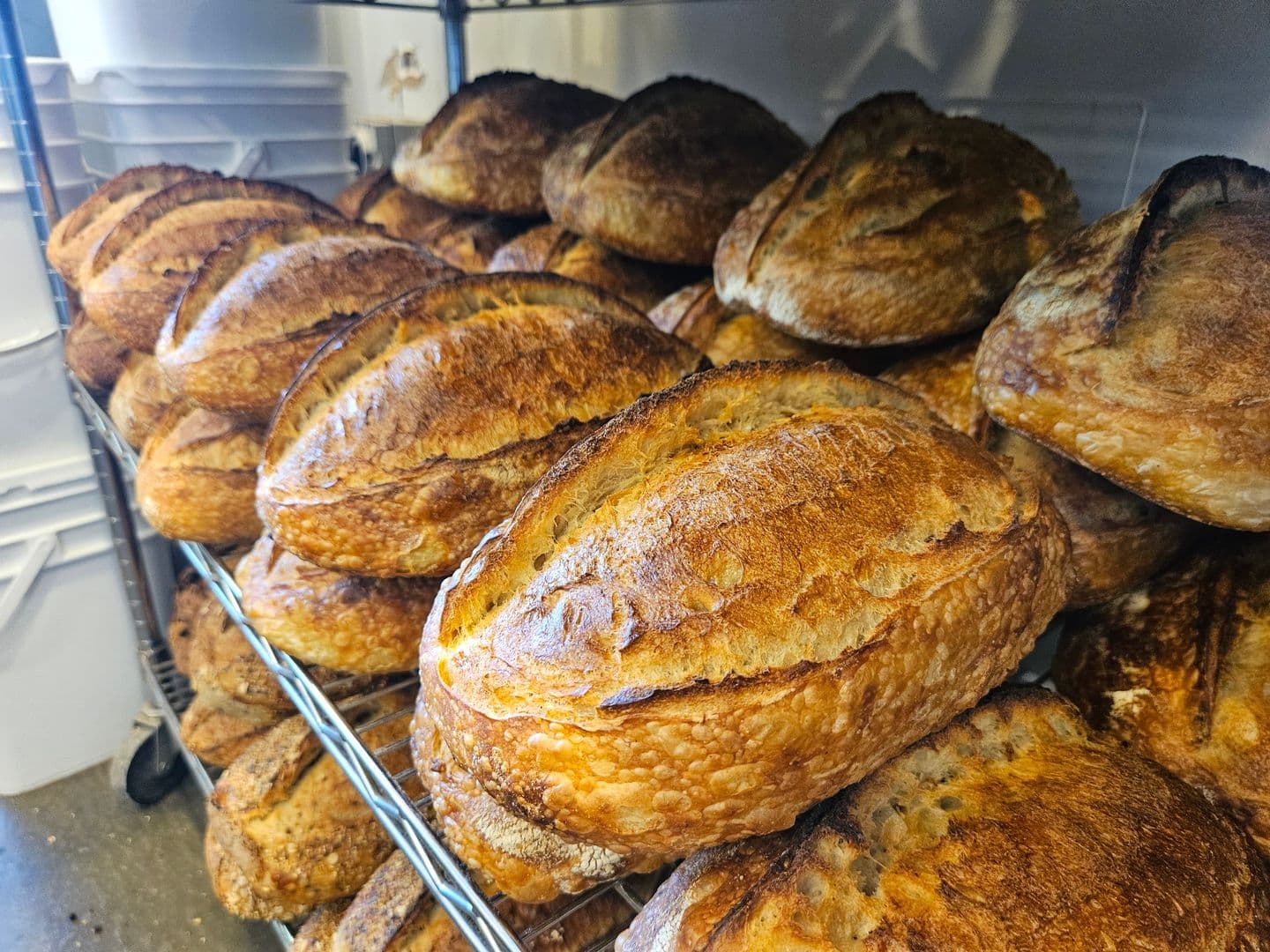 Evoke Bakery — Barton, Canberra