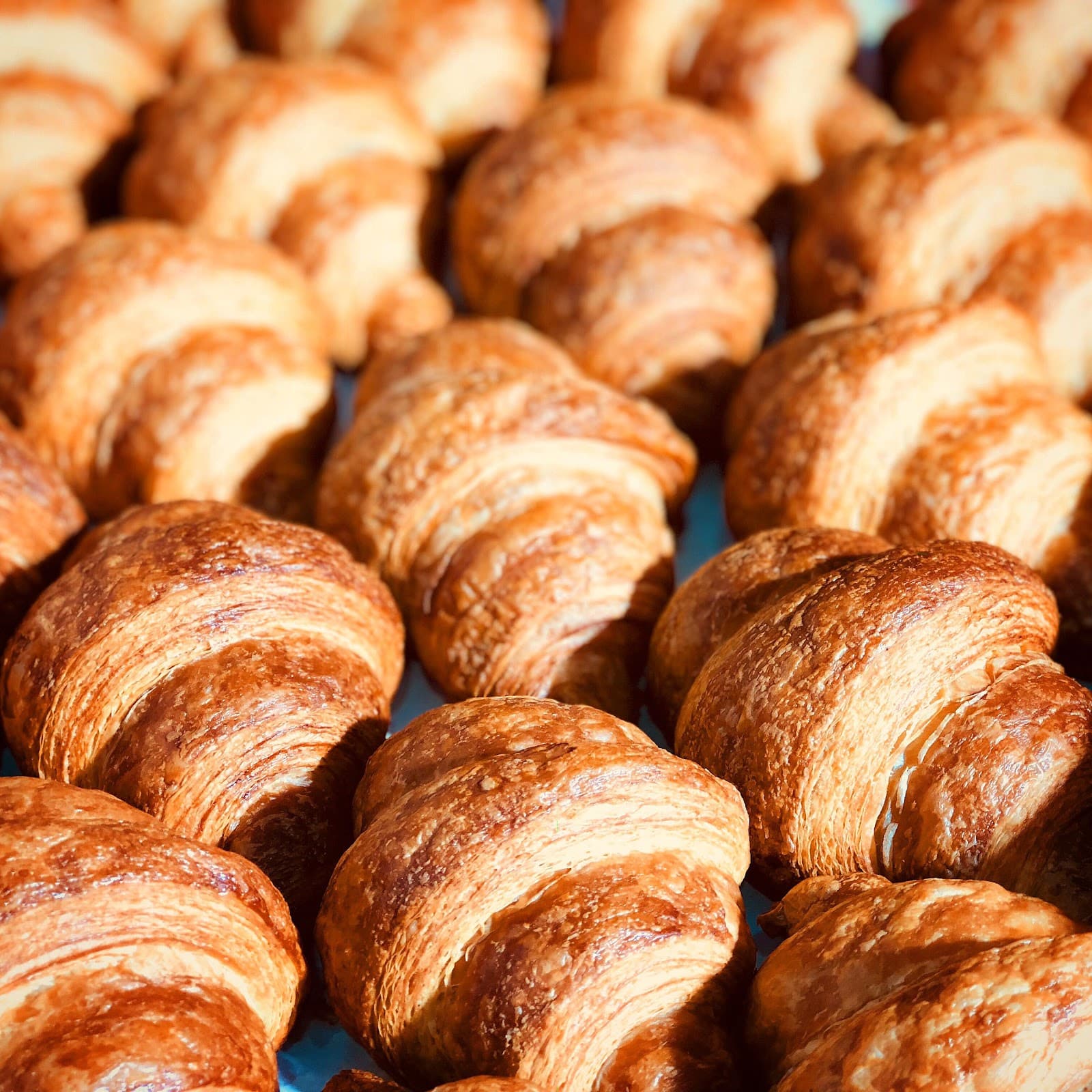 Dream Cuisine Patisserie — Fyshwick, Canberra