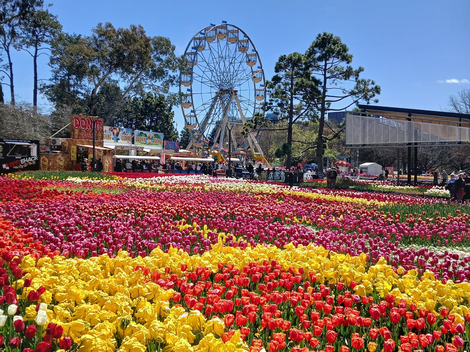 National Capital Exhibition — Dickson, Canberra