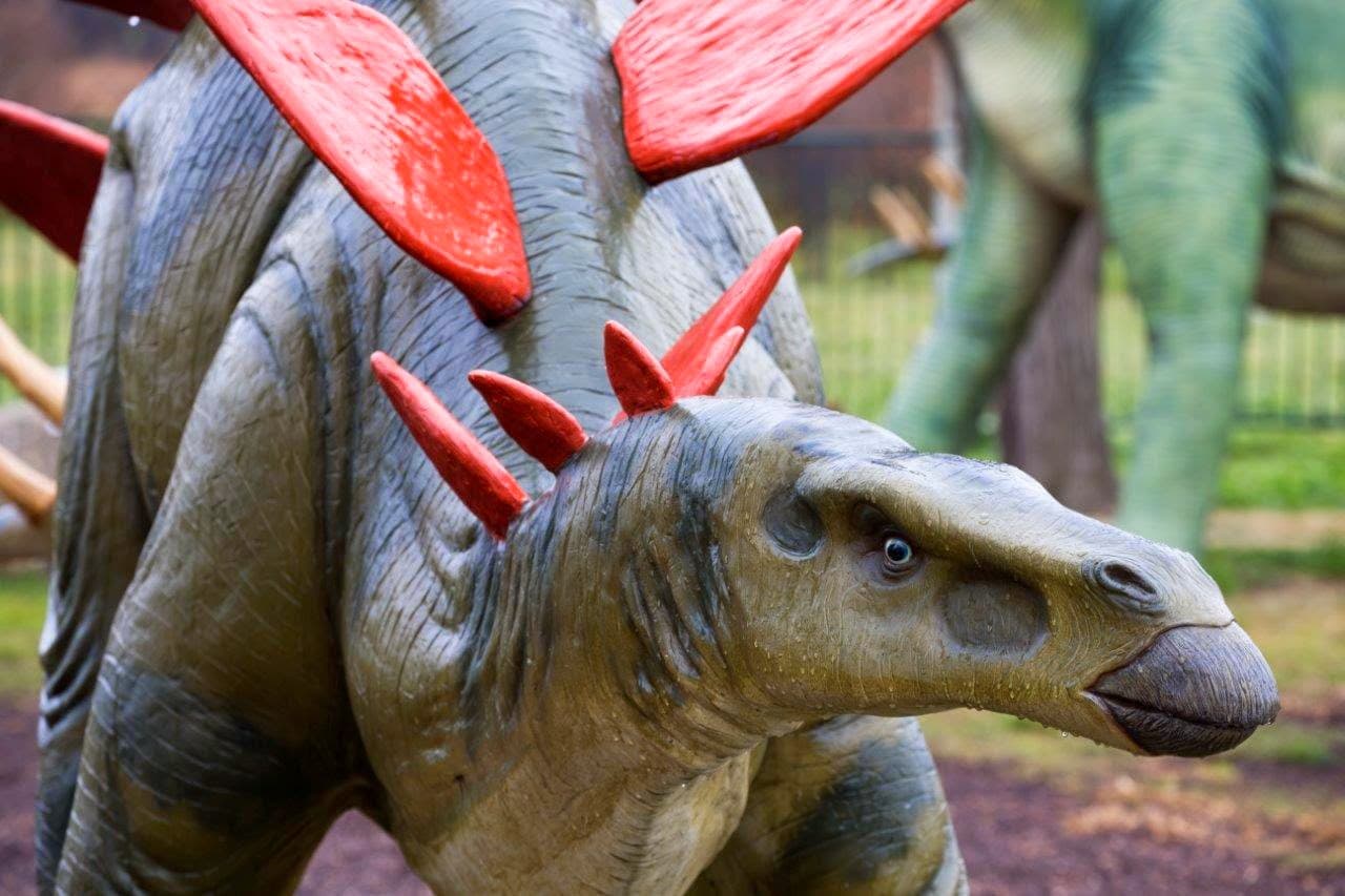 National Dinosaur Museum — Tuggeranong, Canberra