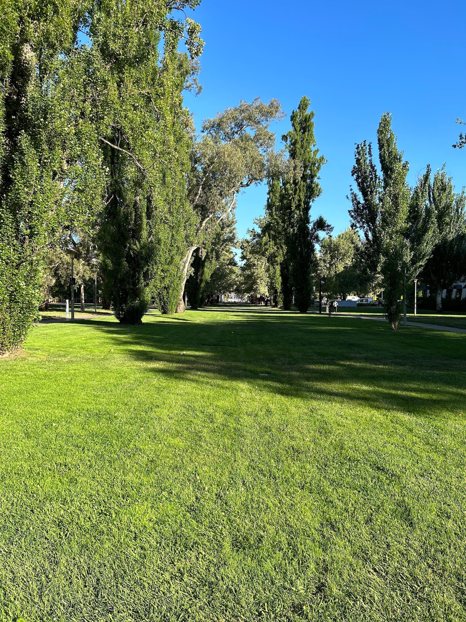 Australian National University Classics Museum — Fyshwick, Canberra