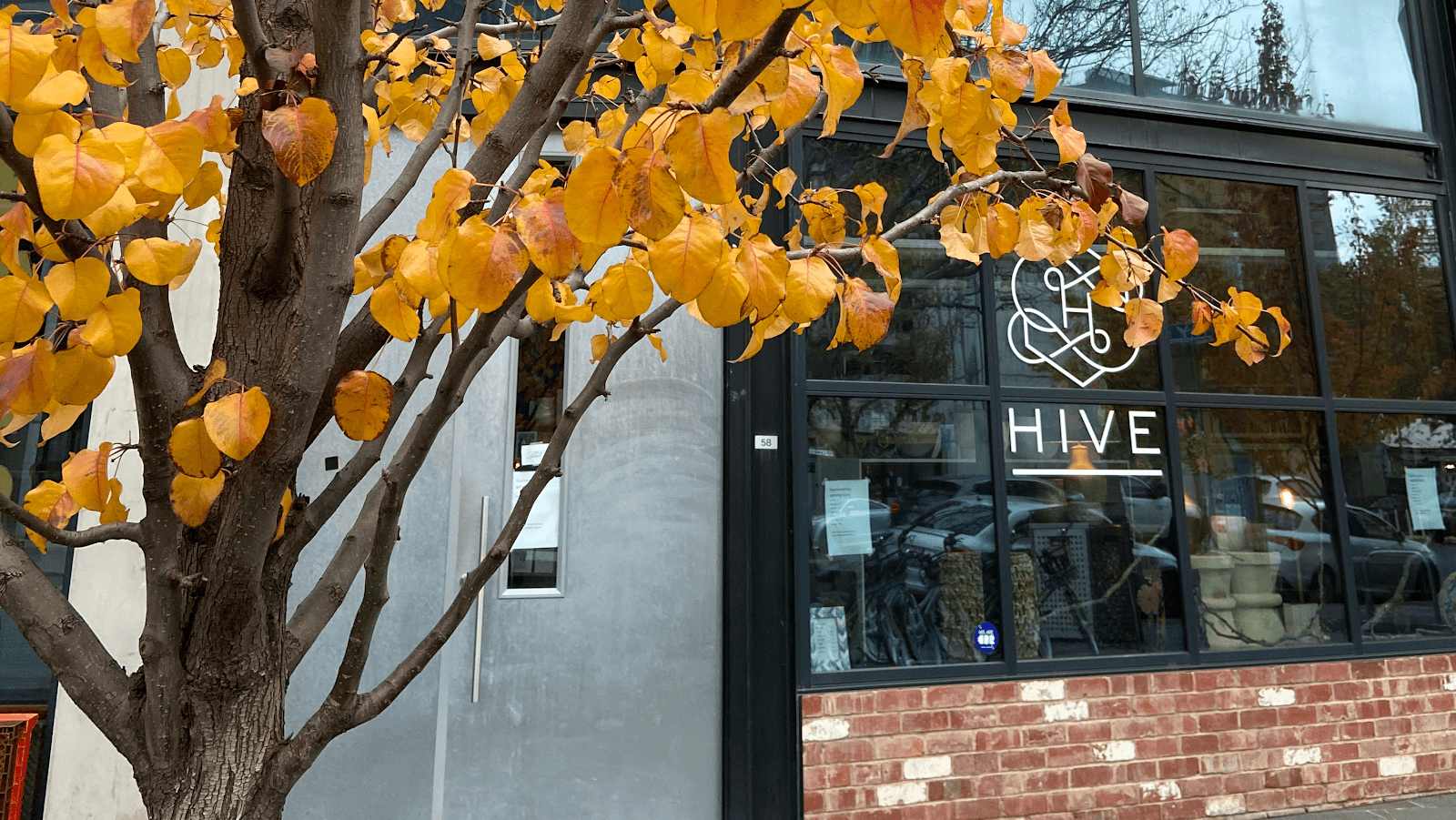 Hive — Braddon, Canberra
