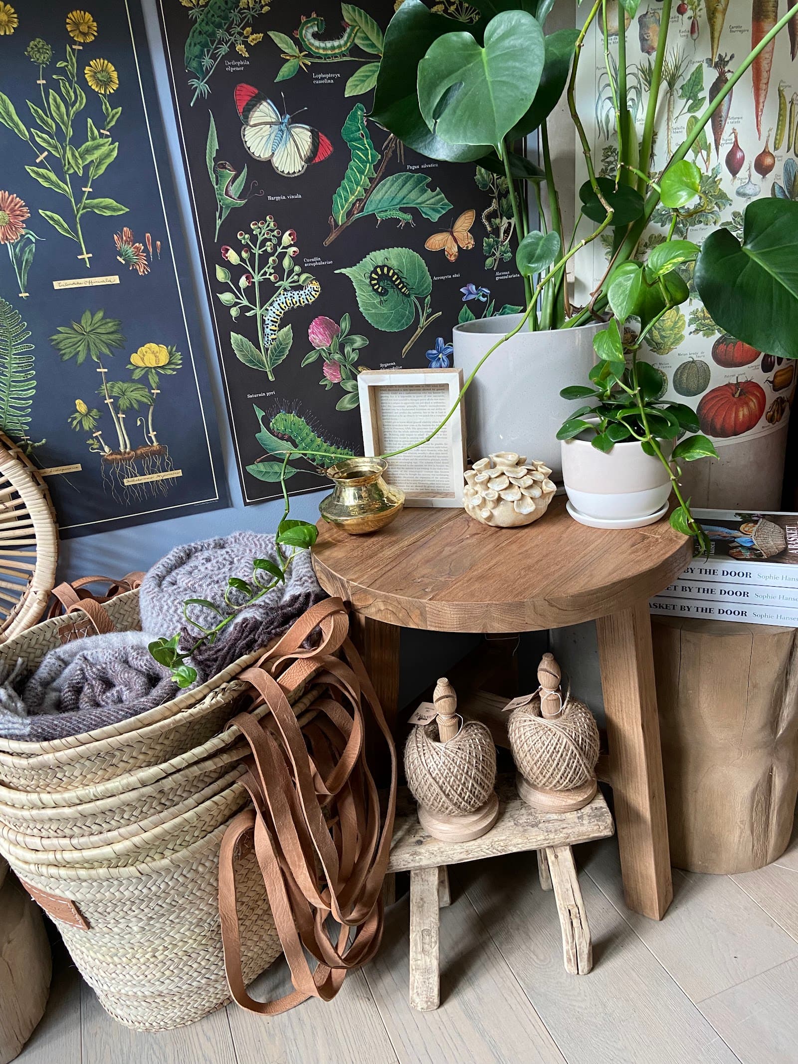 Hive — Braddon, Canberra