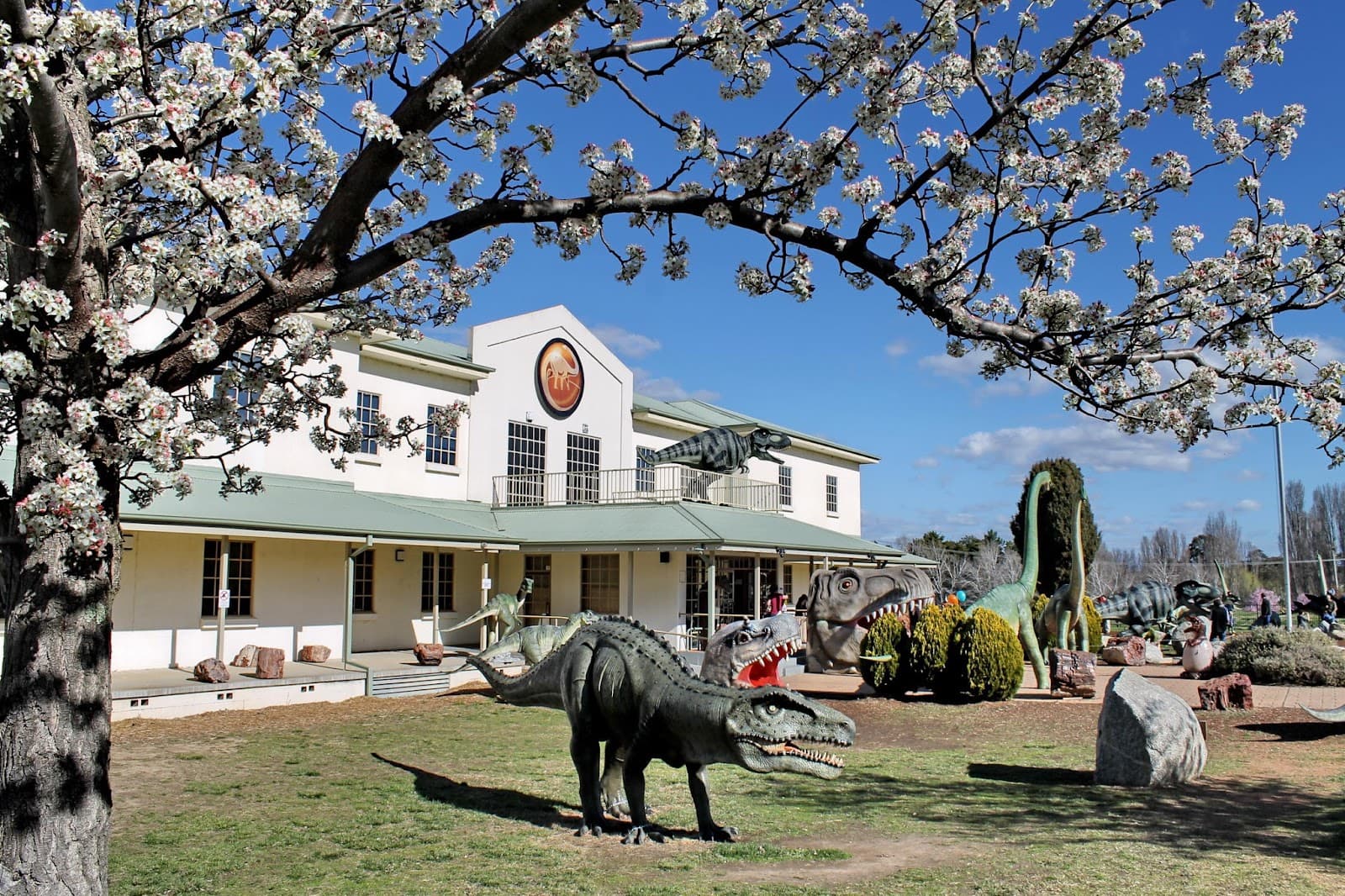 National Dinosaur Museum Crystal Shop — Dickson, Canberra