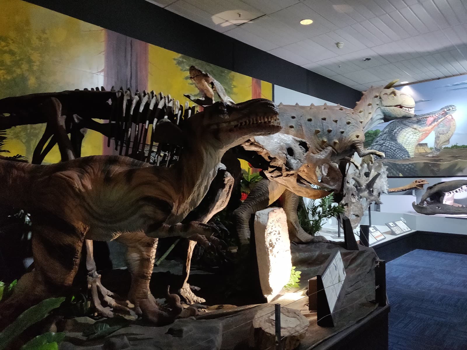 National Dinosaur Museum Crystal Shop — Dickson, Canberra