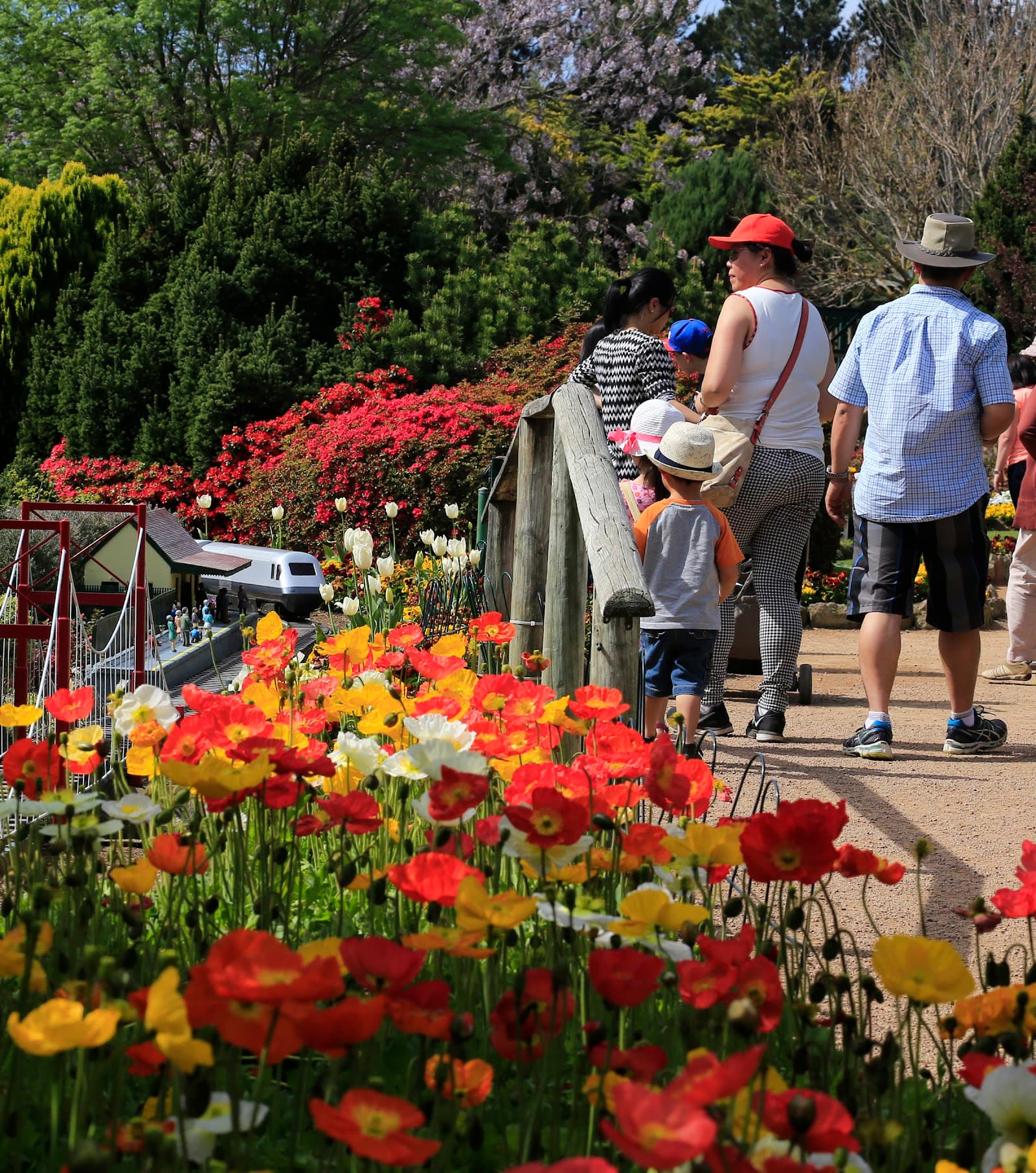 Cockington Green Gardens — Gungahlin, Canberra