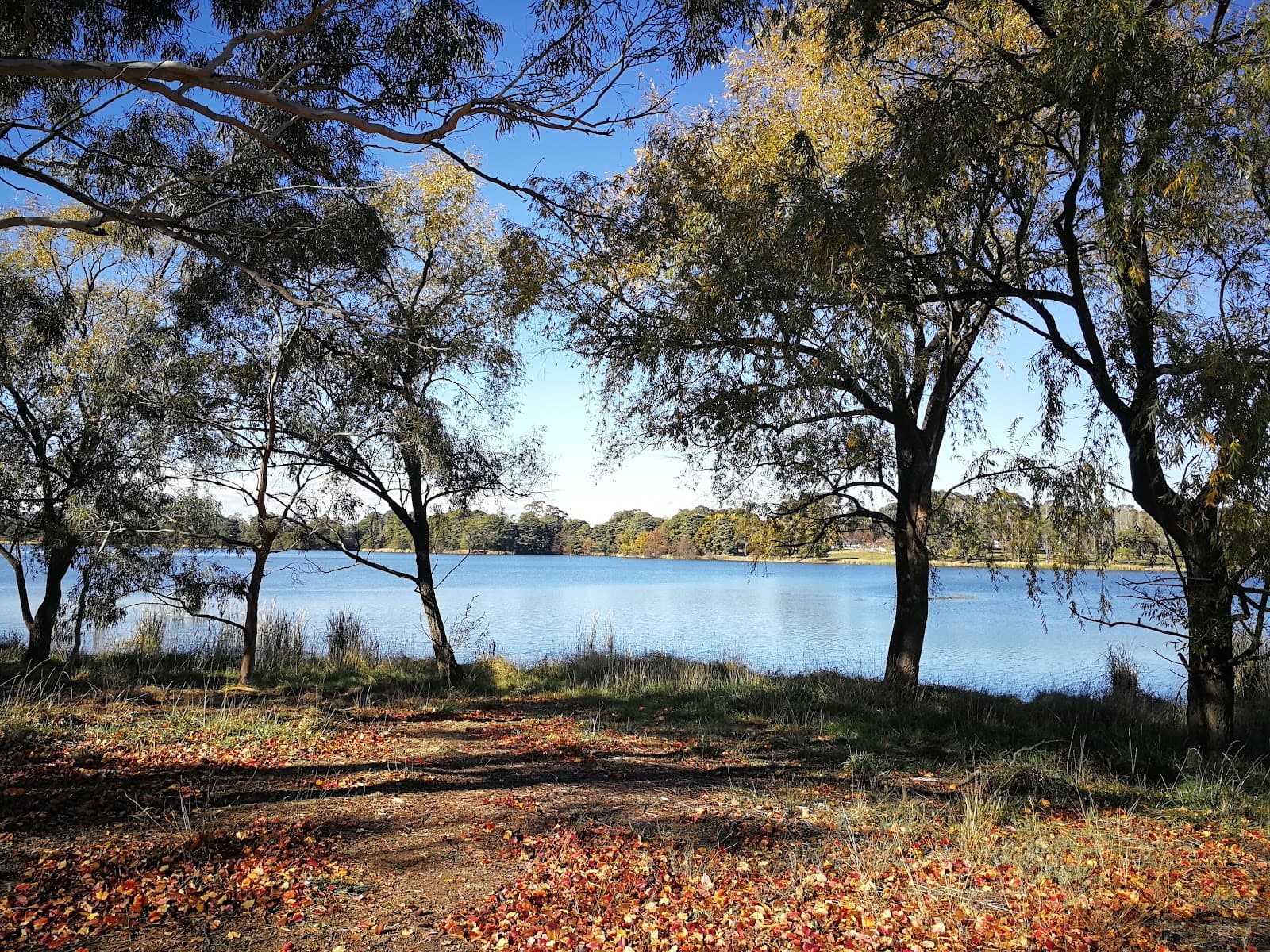 Burrunju Art Gallery — Barton, Canberra