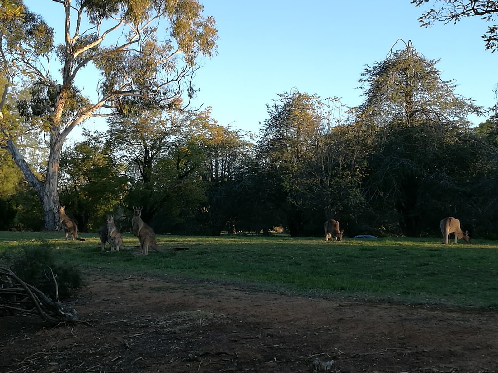 Burrunju Art Gallery — Barton, Canberra