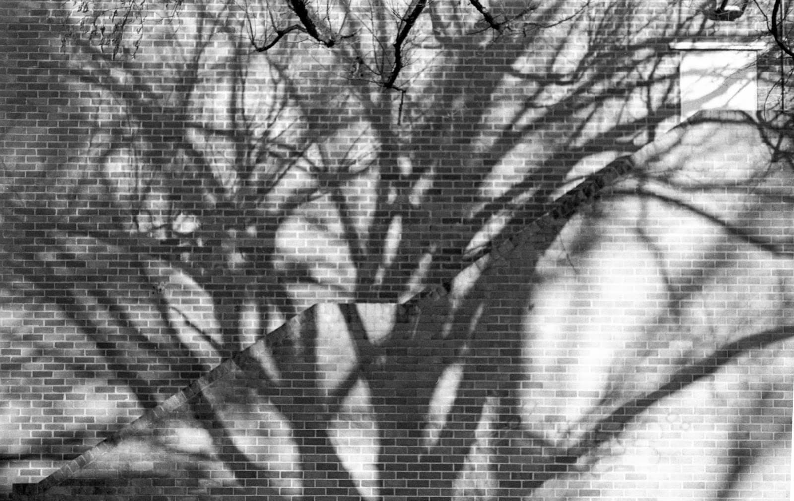 M16 Artspace — Barton, Canberra