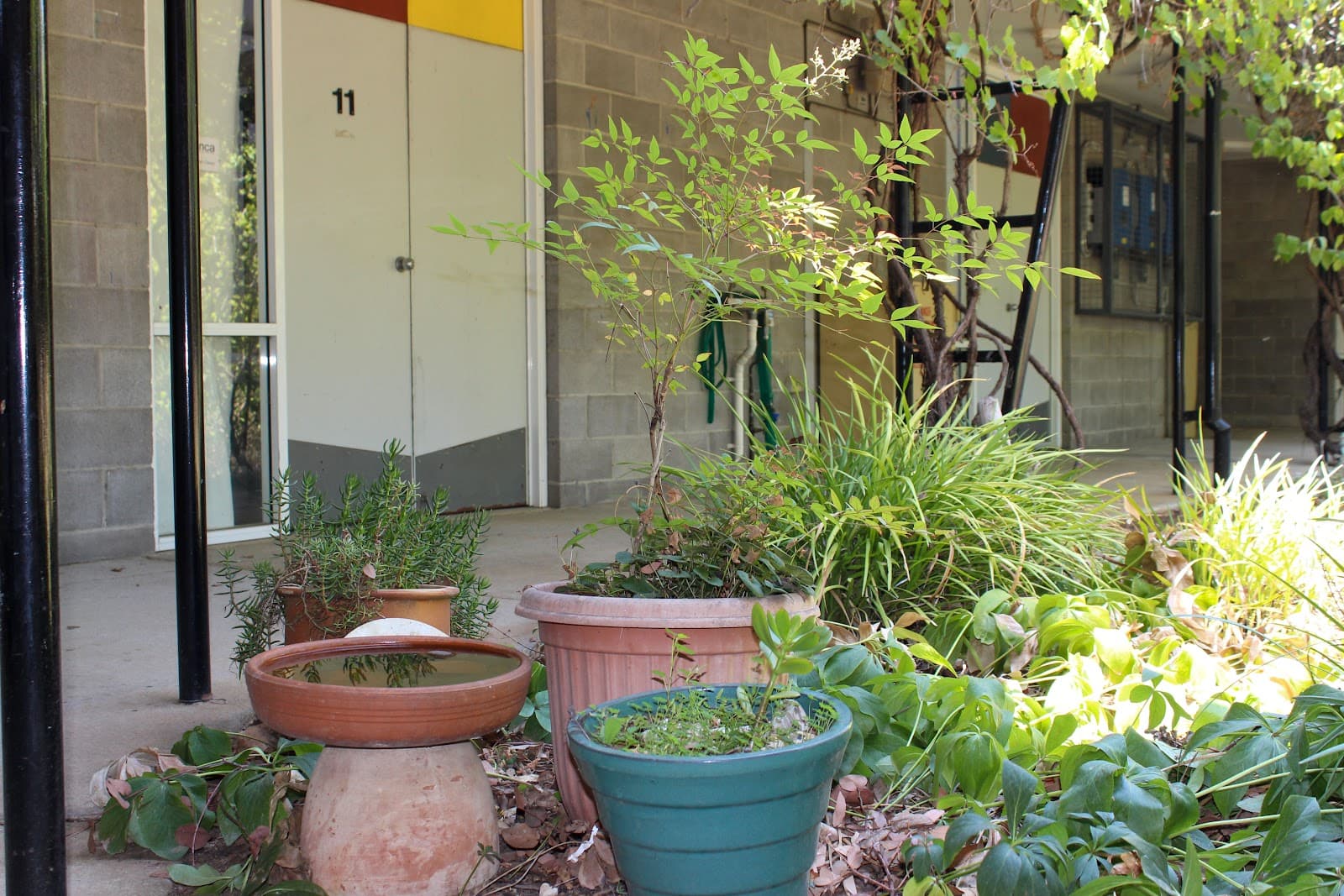 ANCA Dickson: Gallery, Studios, Administration — Dickson, Canberra