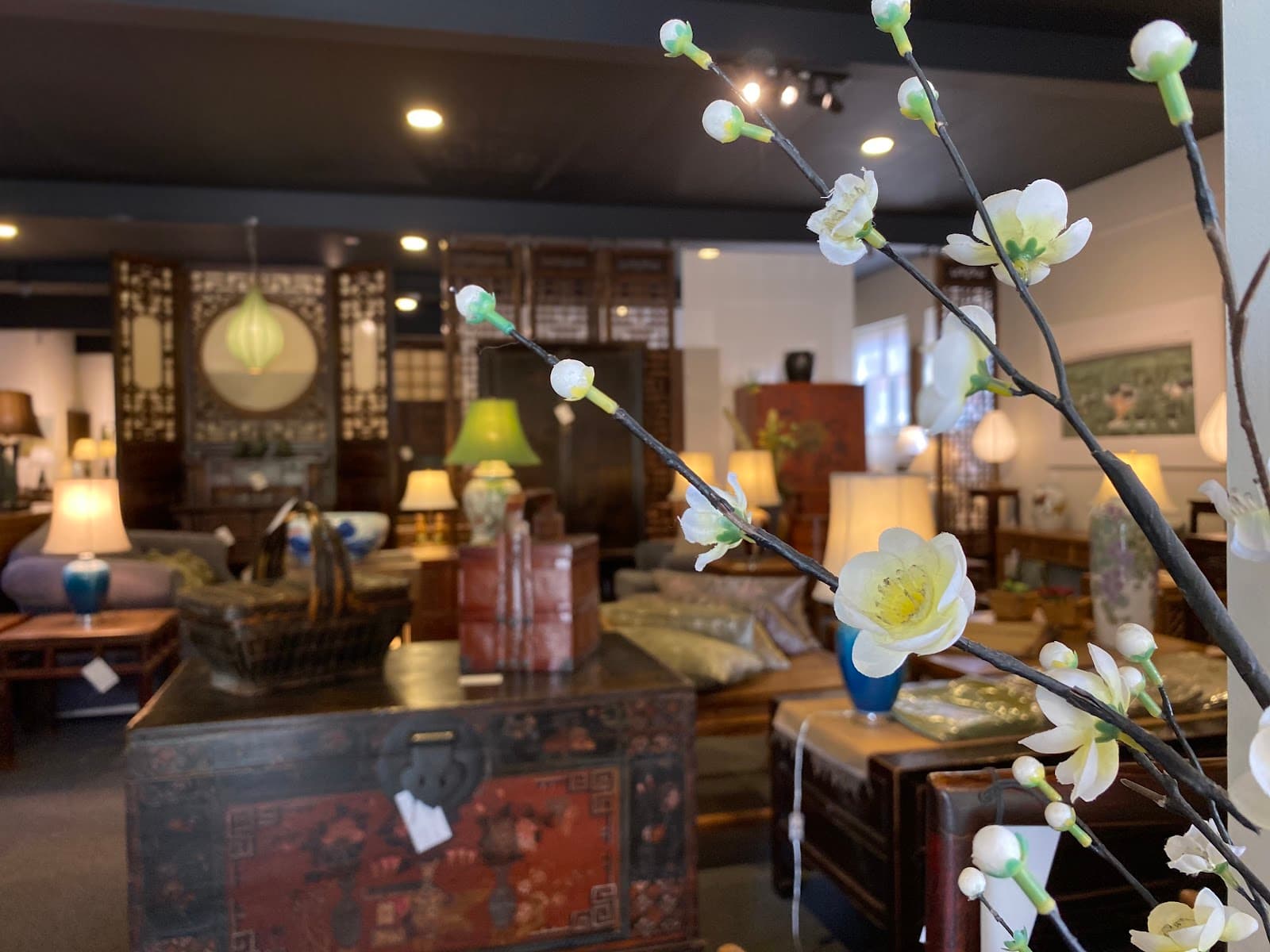 Humble House gallery — Fyshwick, Canberra