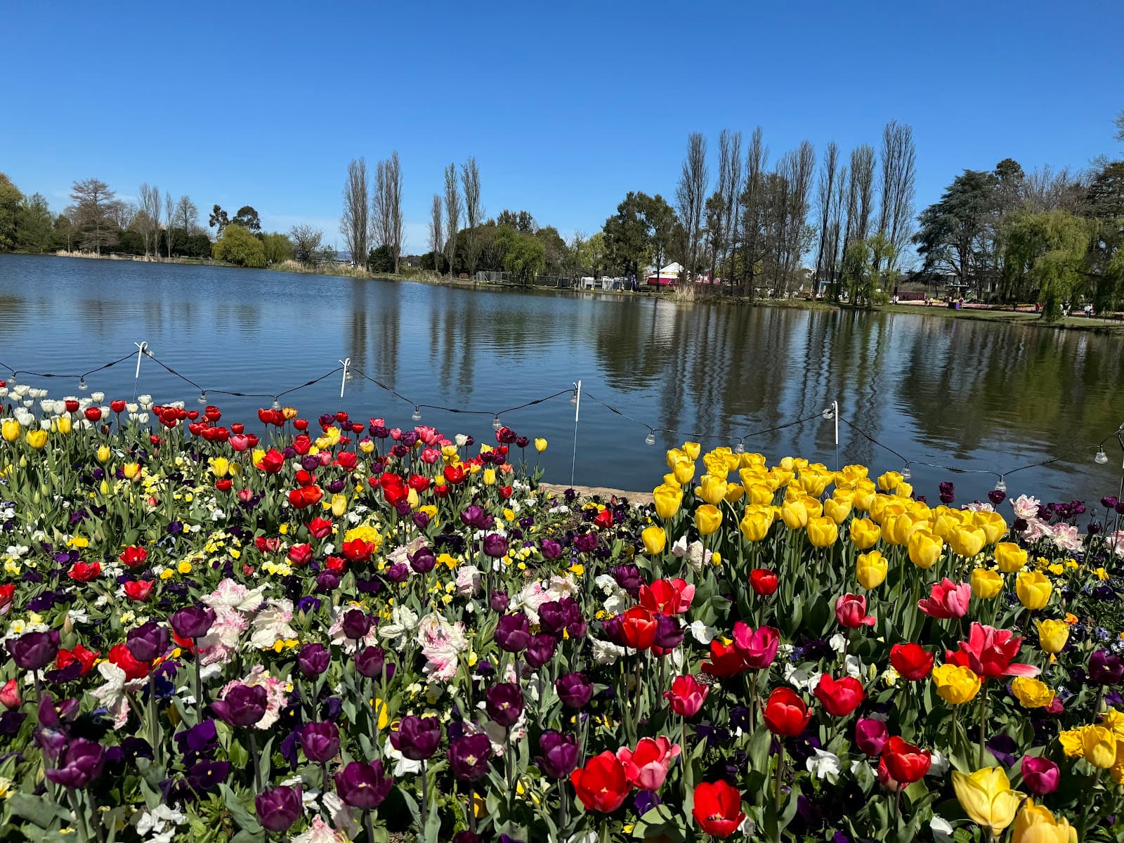 Commonwealth Park — Civic, Canberra