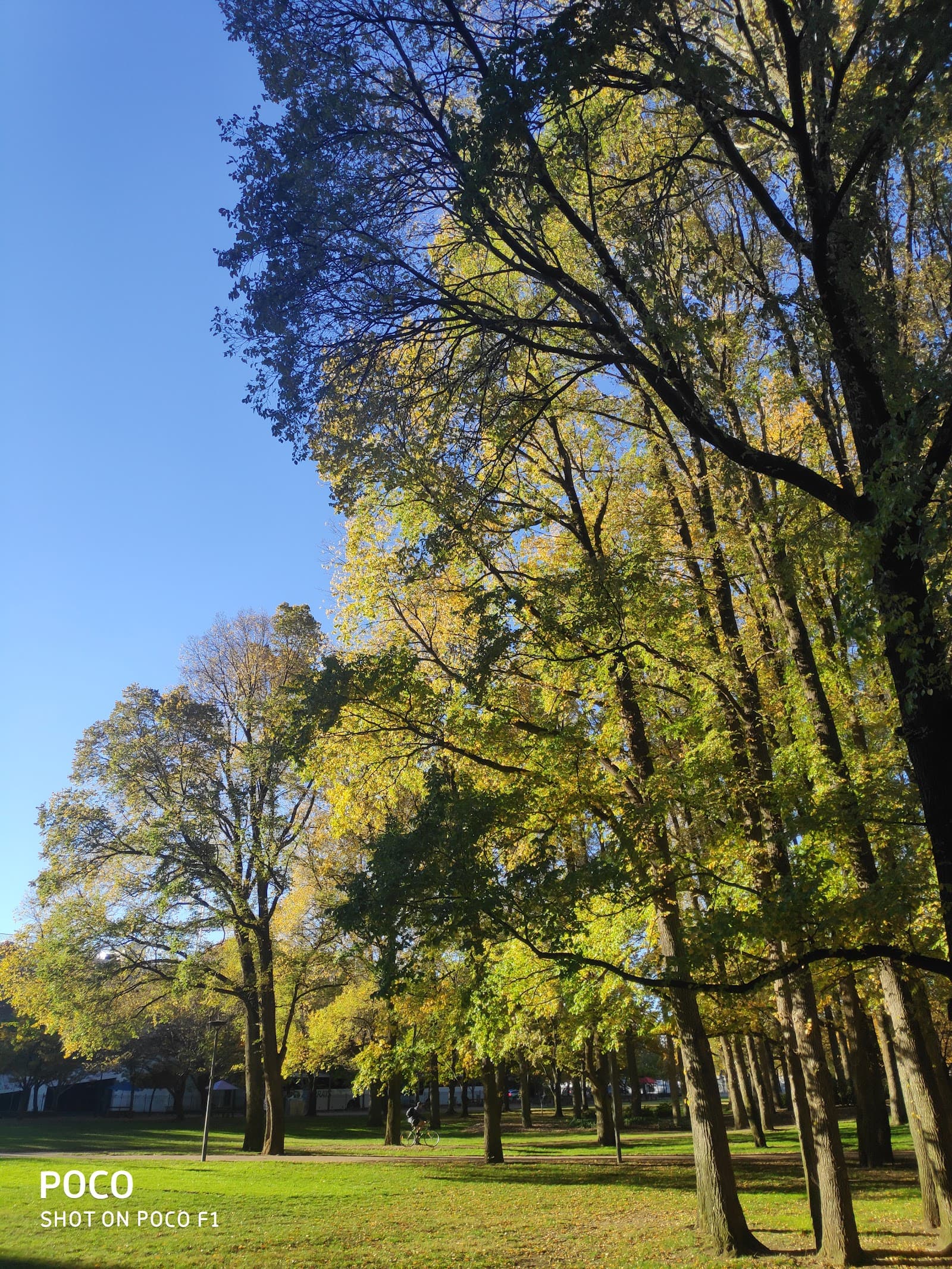 Glebe Park Rotunda — Civic, Canberra
