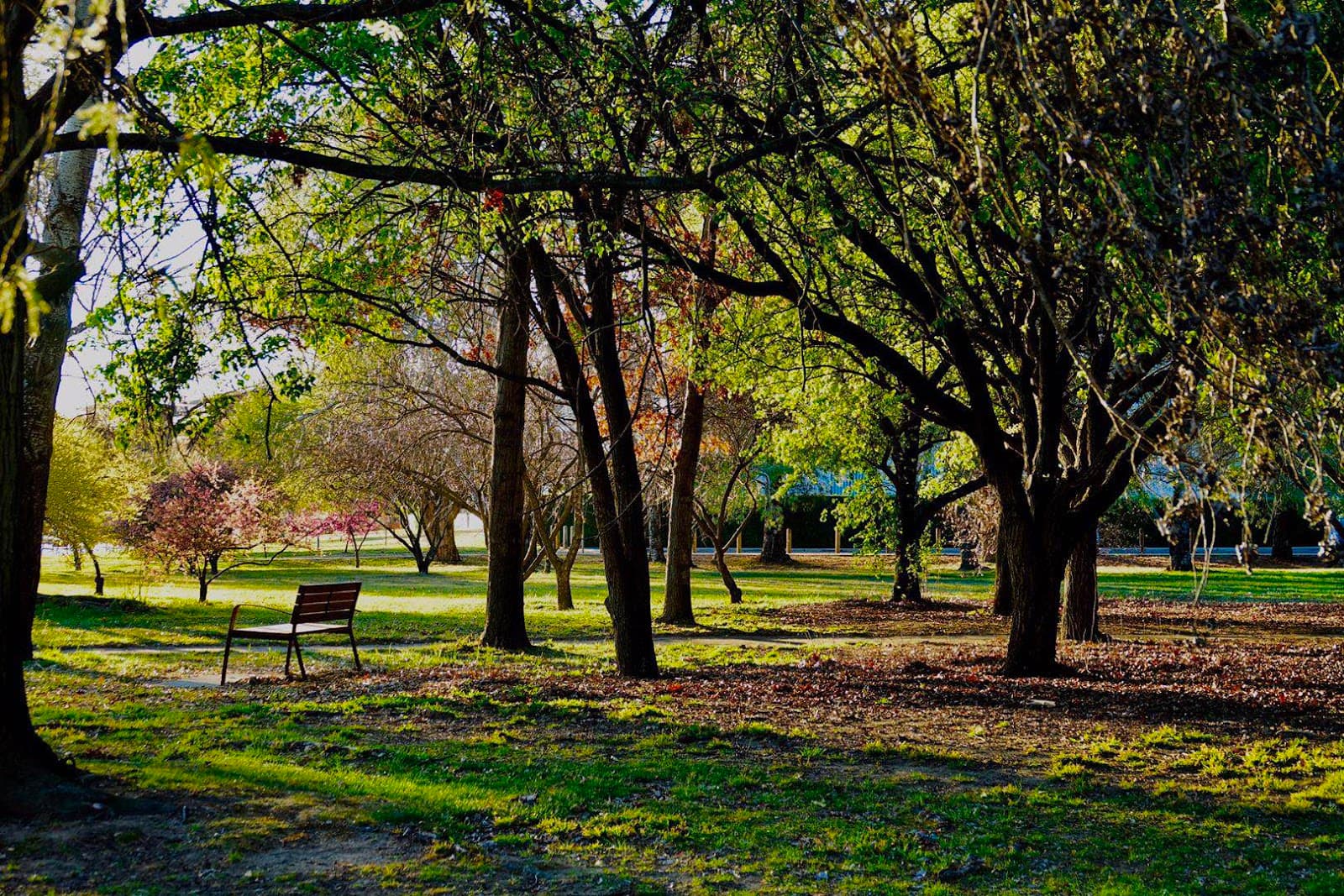 Bowen Park — Barton, Canberra