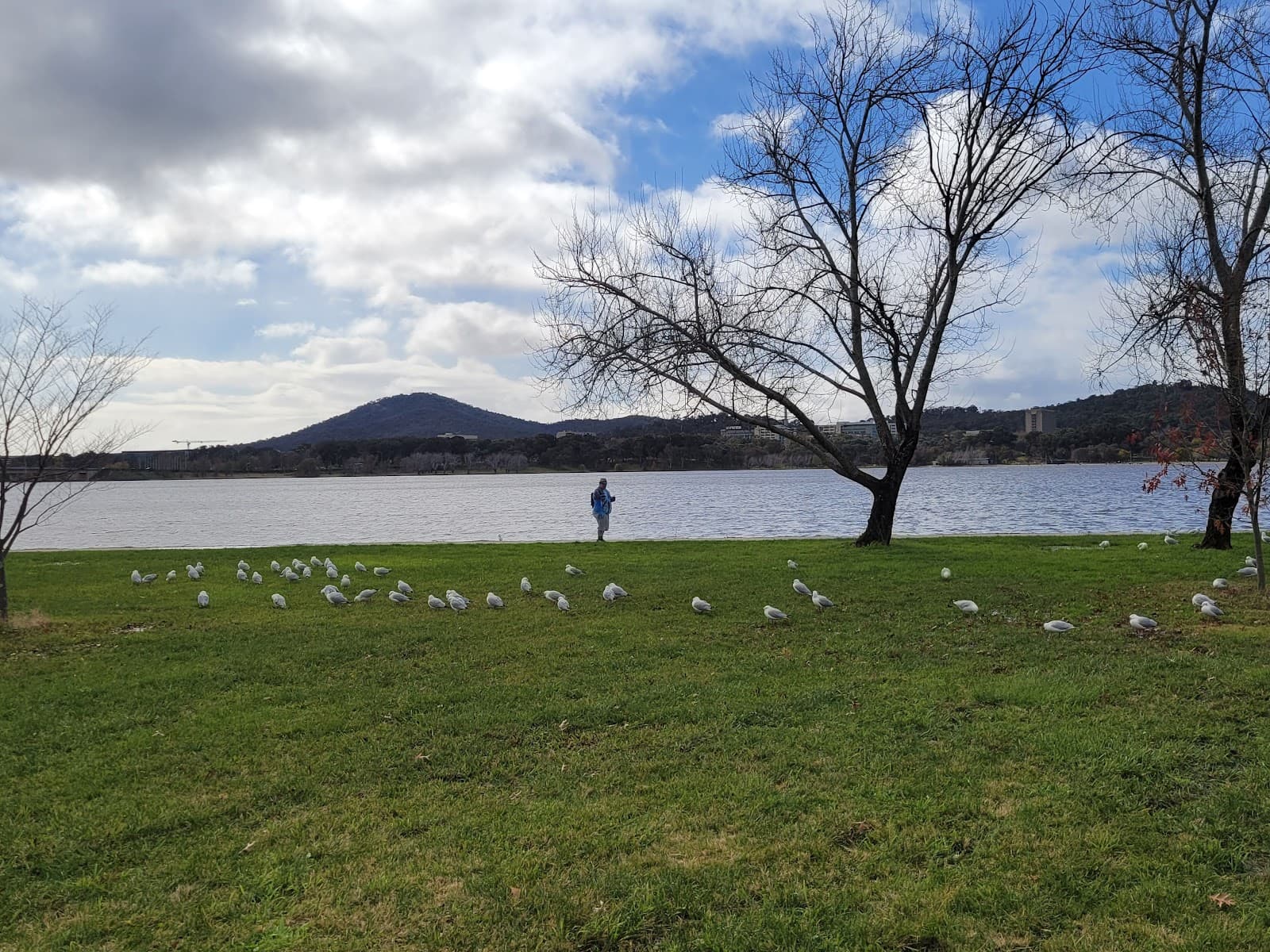 Bowen Park — Barton, Canberra