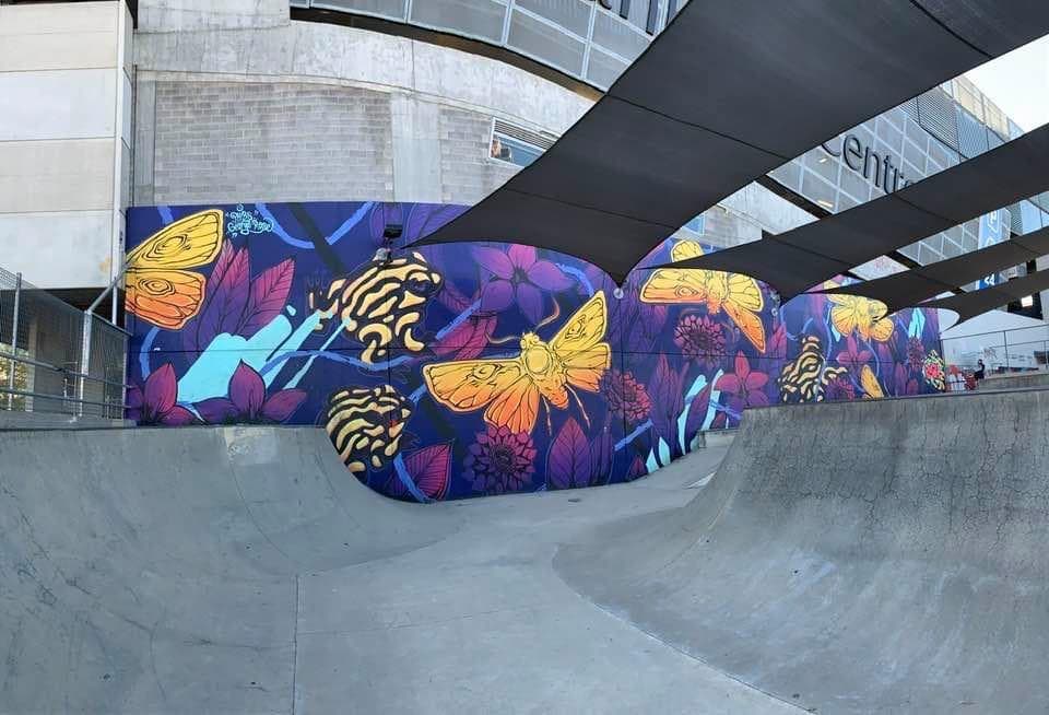 Civic Skate Park — Civic, Canberra