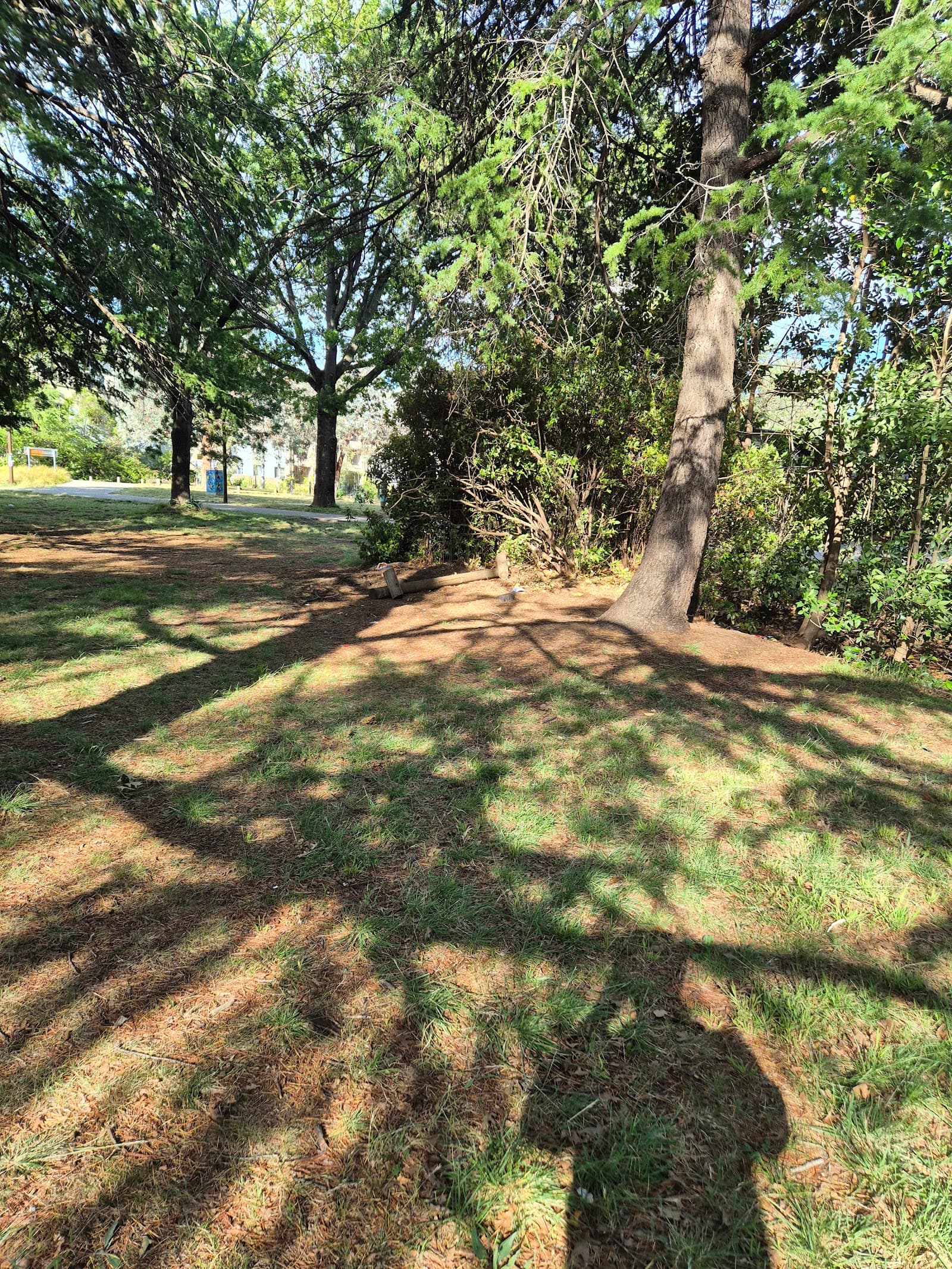 Haig Park — Braddon, Canberra