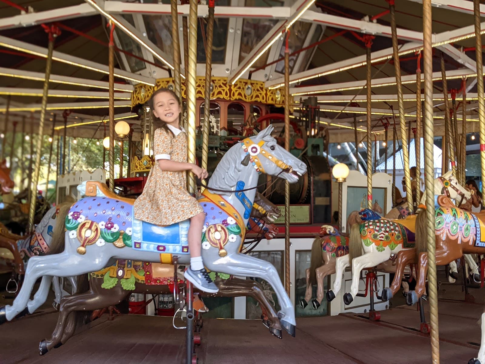 Canberra Carousel — Braddon, Canberra