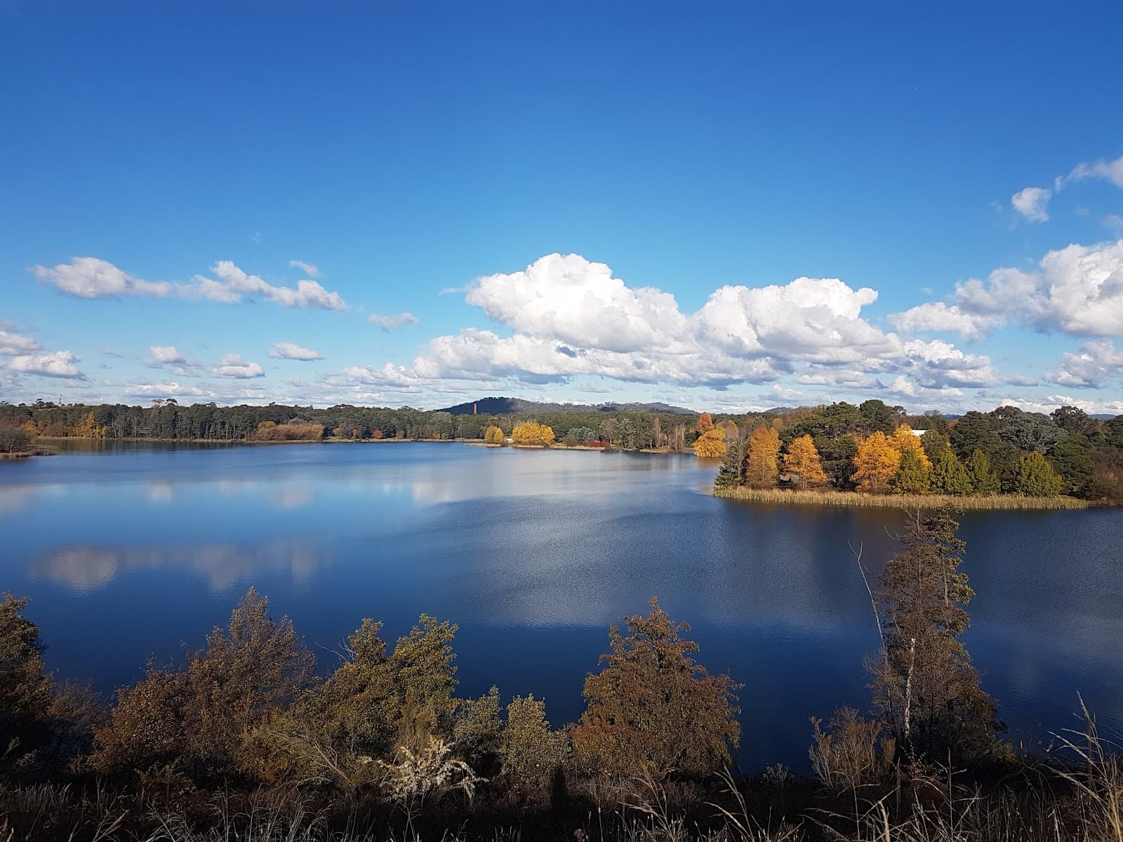 Black Mountain Nature Reserve — Belconnen, Canberra