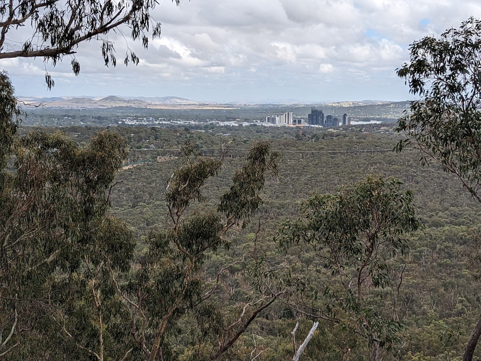 Black Mountain Nature Reserve — Belconnen, Canberra