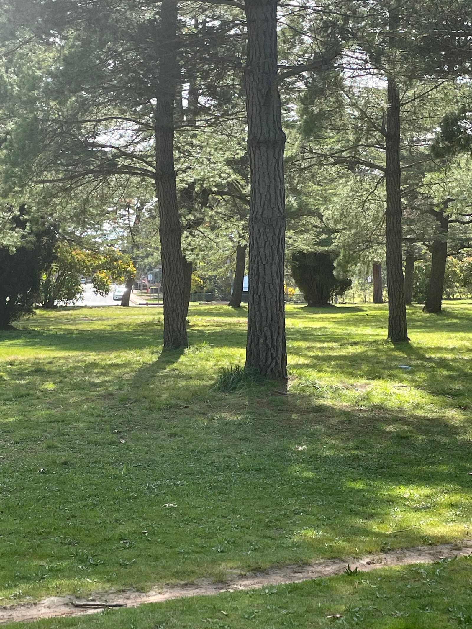 Haig Park Labyrinth — Braddon, Canberra