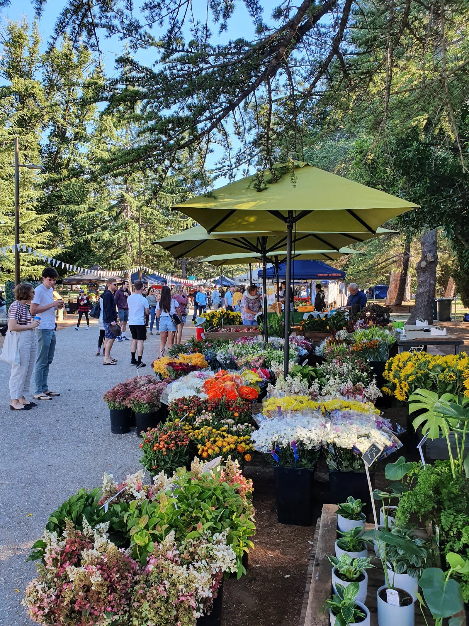 Haig Park Village Markets — Tuggeranong, Canberra