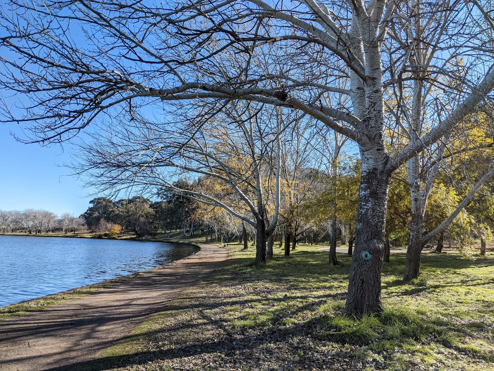 Grevillea Park — Barton, Canberra