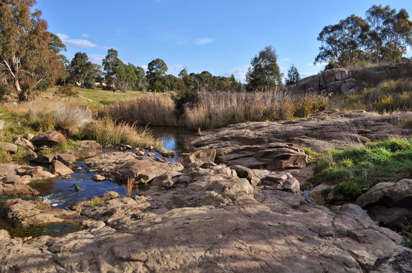 Umbagong District Park — Belconnen, Canberra