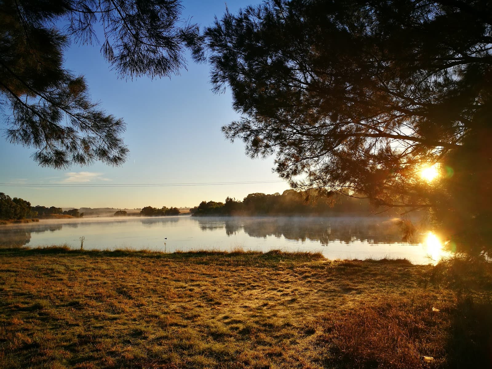 Lake Ginninderra Dog Park — Belconnen, Canberra