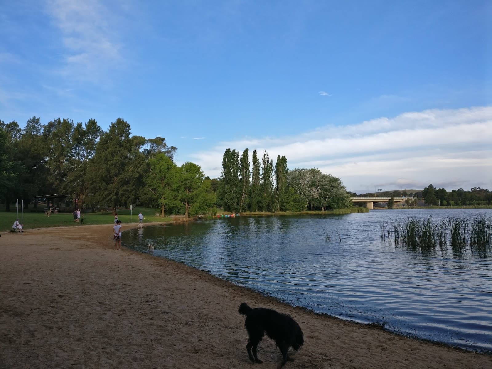 Lake Ginninderra Dog Park — Belconnen, Canberra