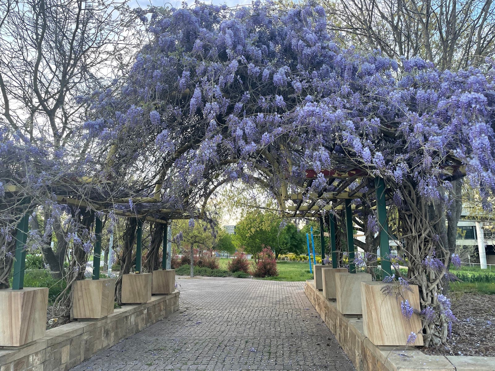 Woden Town Park — Woden, Canberra