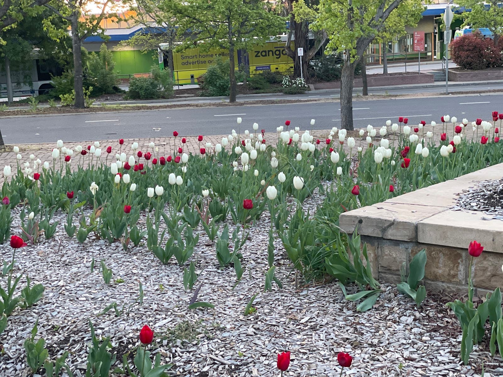 Woden Town Park — Woden, Canberra