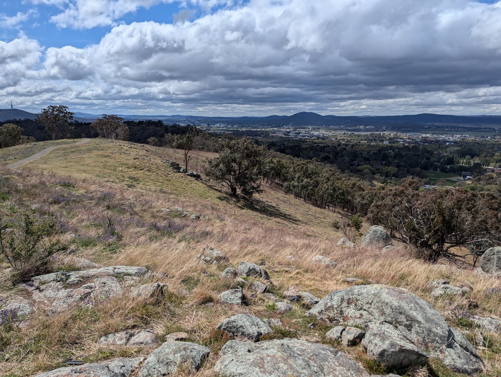 Red Hill Nature Reserve — Barton, Canberra