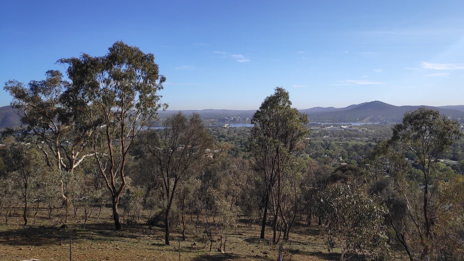 Red Hill Nature Reserve — Barton, Canberra