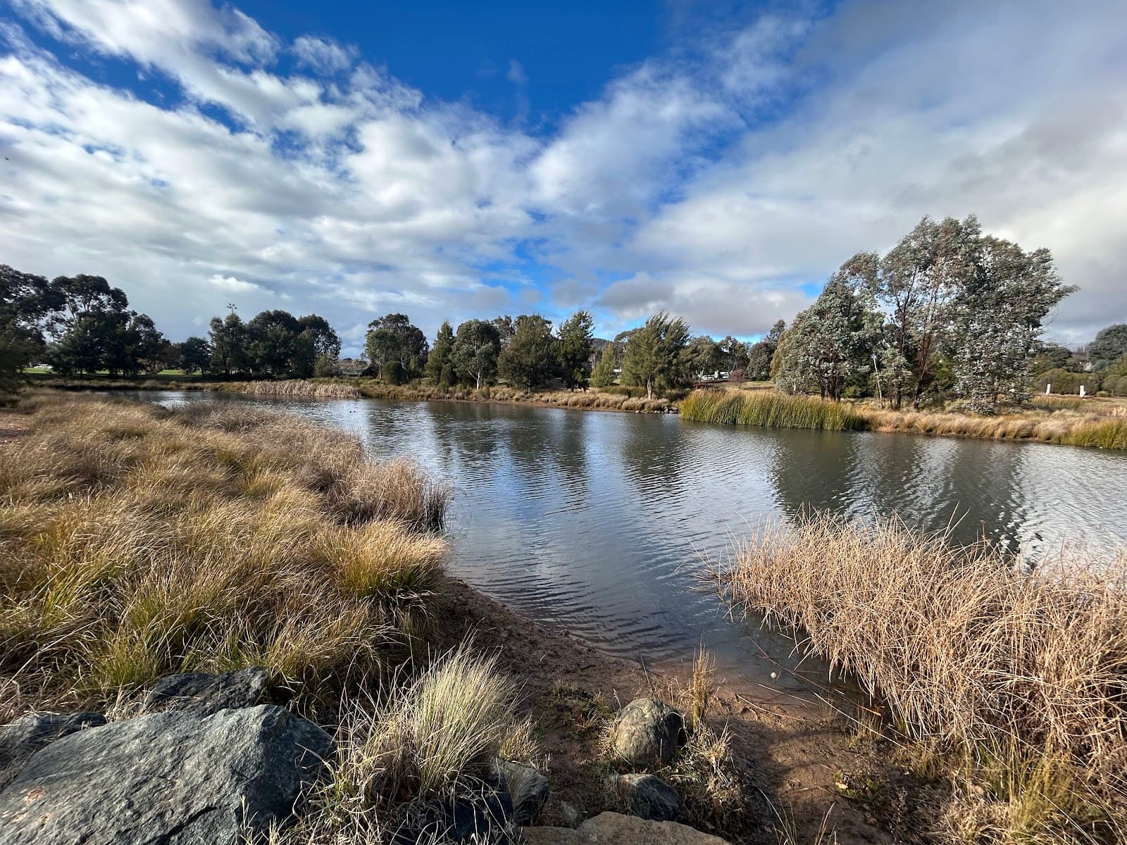 Dickson Wetland — Dickson, Canberra