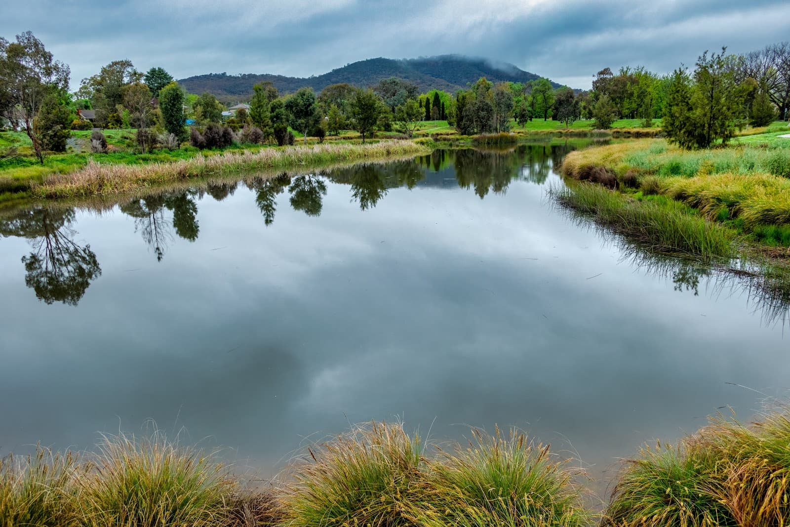 Dickson Wetland — Dickson, Canberra