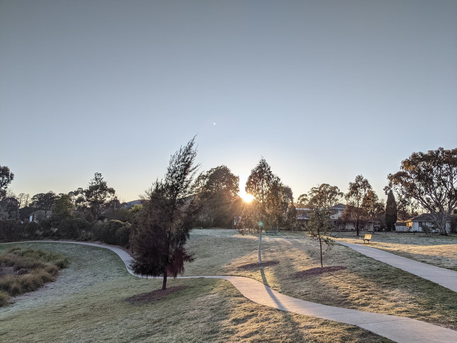 Dickson Wetland — Dickson, Canberra