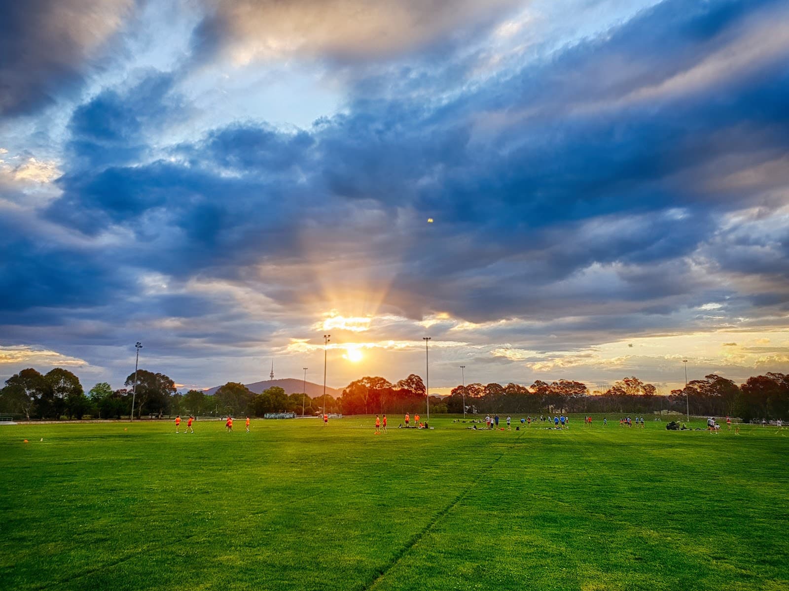 Dickson District Playing Fields — Dickson, Canberra