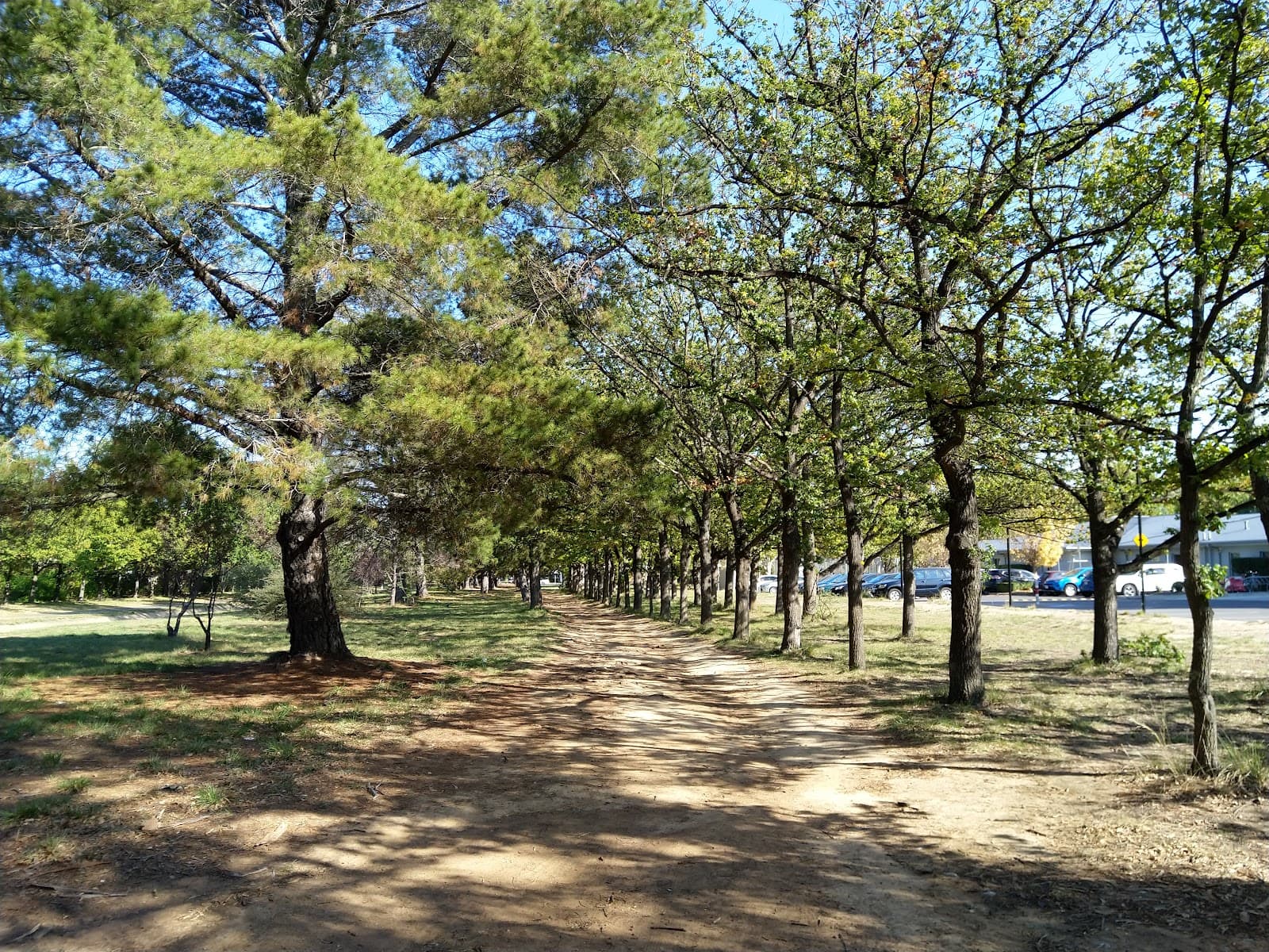 Dickson District Playing Fields — Dickson, Canberra