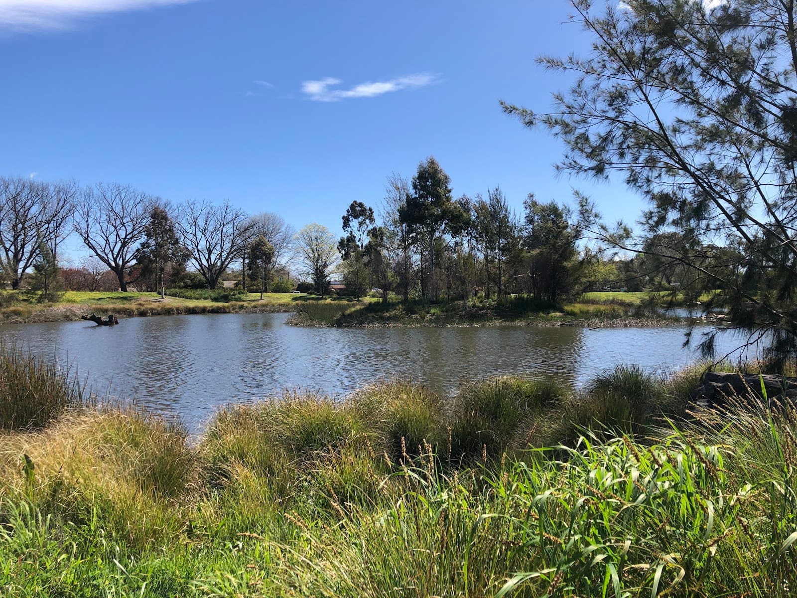 Dutton Street Playground — Dickson, Canberra