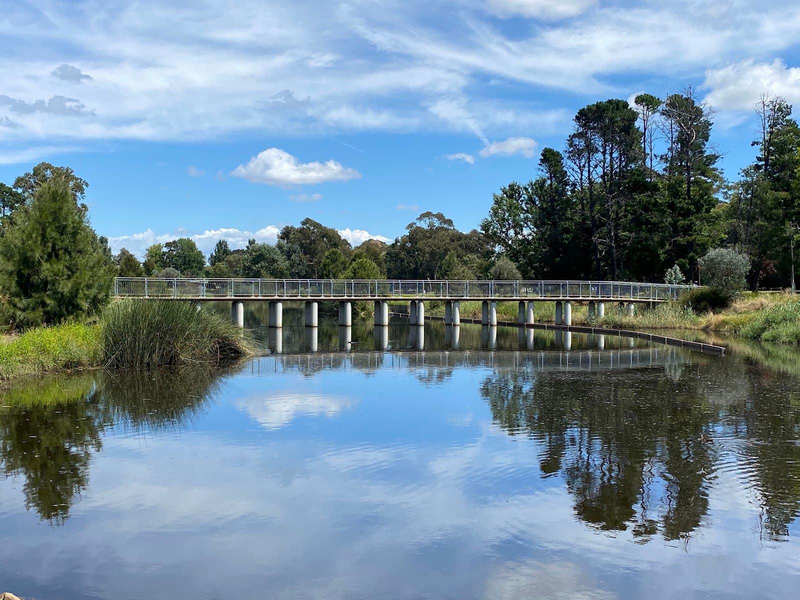 Lyneham Wetlands — Dickson, Canberra