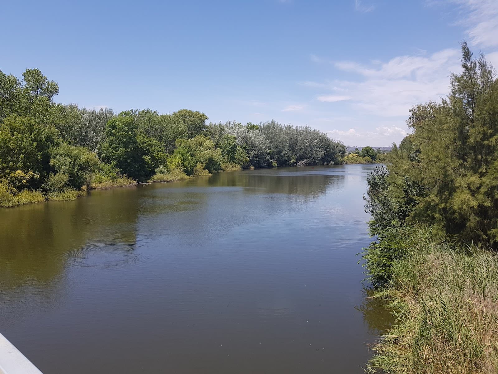 Molonglo Reach — Civic, Canberra