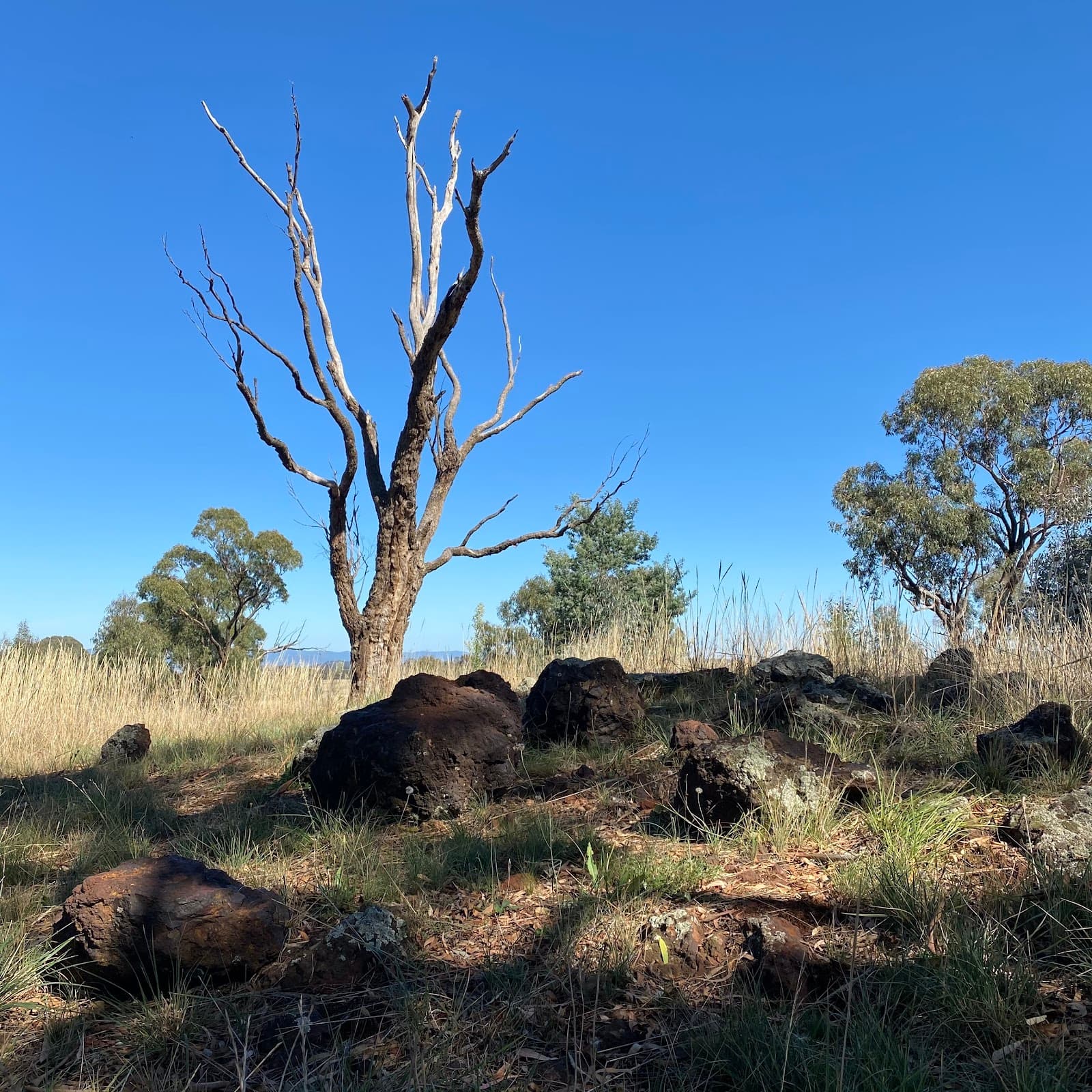 Gubur Dhaura Heritage Park — Gungahlin, Canberra