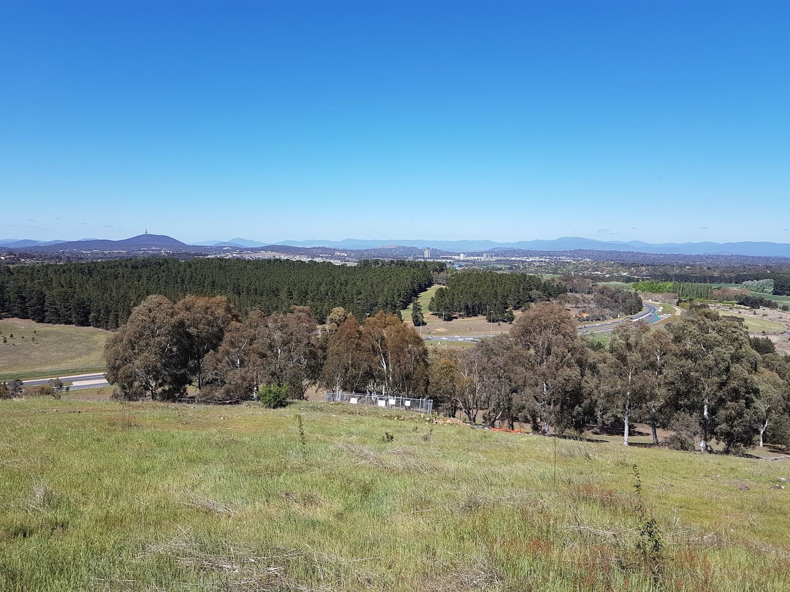 Percival Hill Nature Reserve — Gungahlin, Canberra