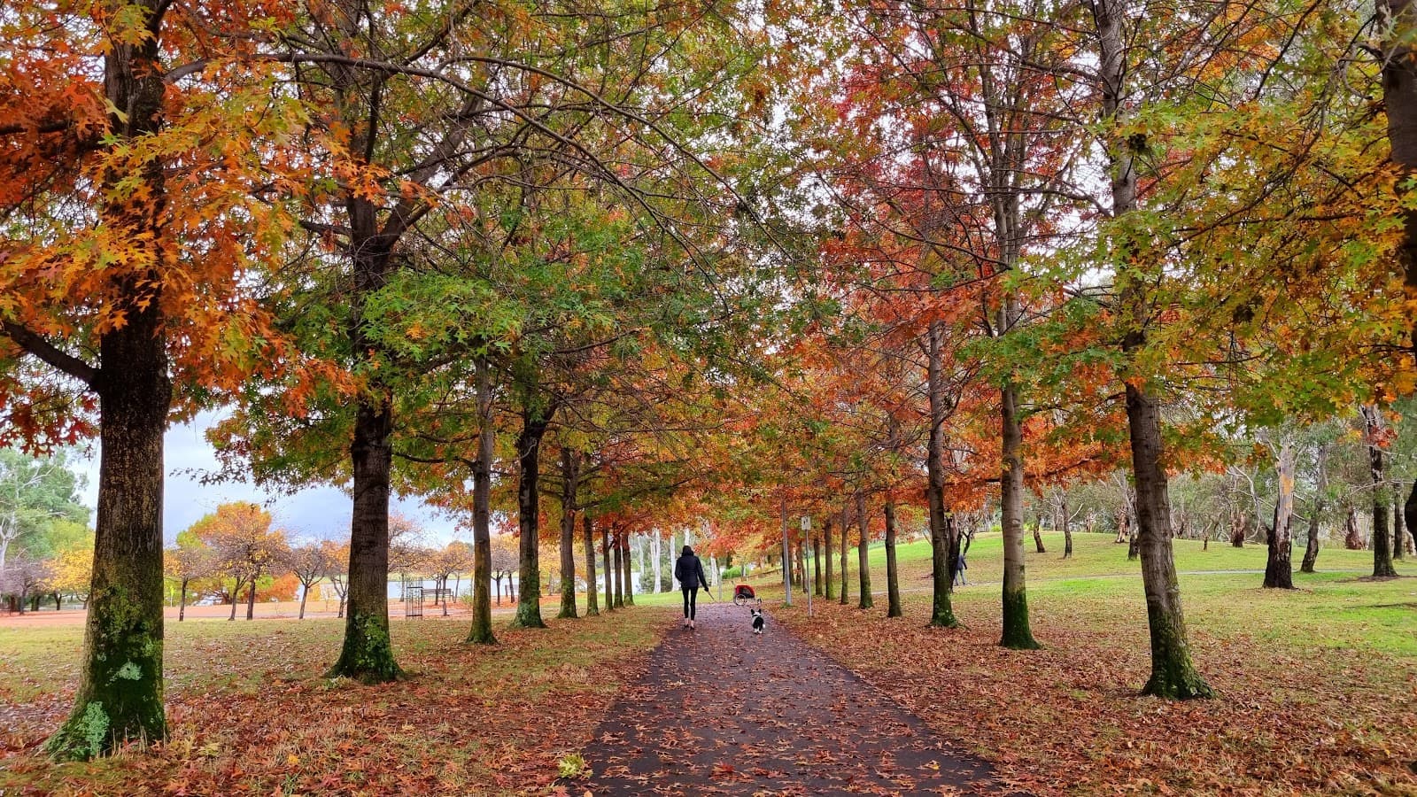 Tuggeranong Town Park Playground — Tuggeranong, Canberra
